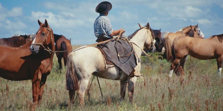 El 15 de abril se celebra el Día del Productor Rural