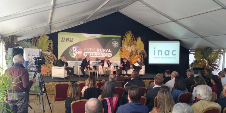 Visiones diferentes sobre el INAC, institución clave para la cadena cárnica de Uruguay