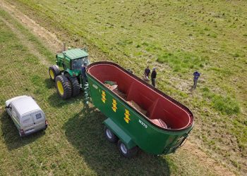 La identidad de la industria nacional a paso firme