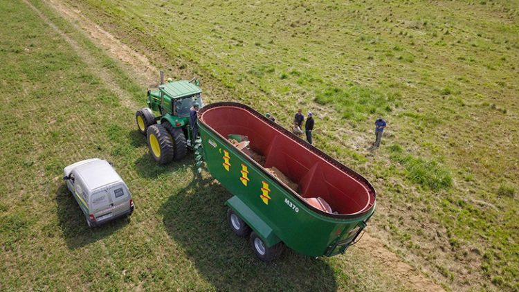 La identidad de la industria nacional a paso firme