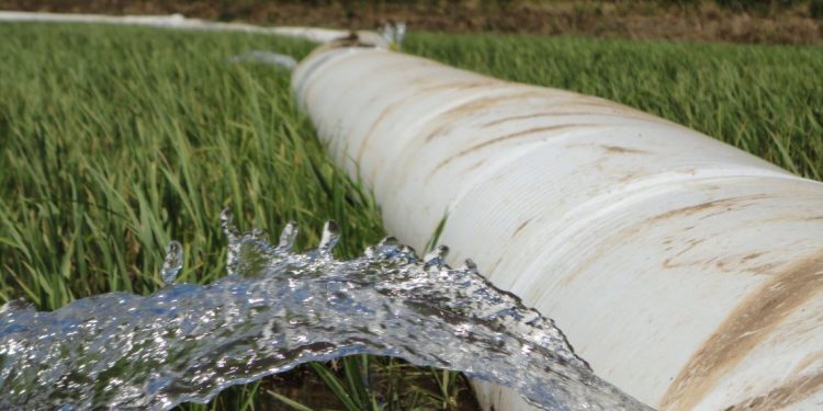 En la búsqueda de regar con menos agua para producir más soja y arroz