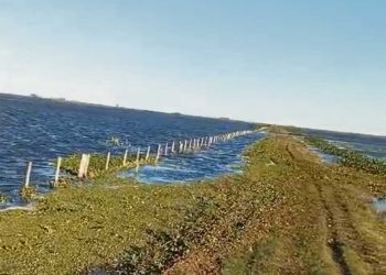 Además de los problemas logísticos, las lluvias también obligan a afinar las decisiones