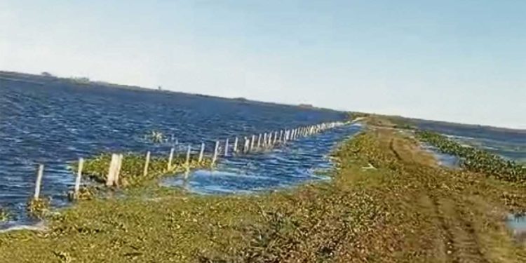 Además de los problemas logísticos, las lluvias también obligan a afinar las decisiones