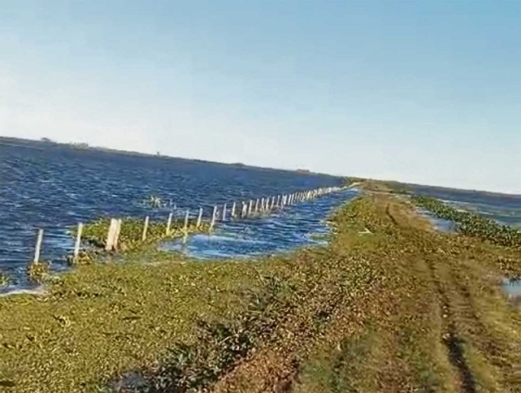 Además de los problemas logísticos, las lluvias también obligan a afinar las decisiones