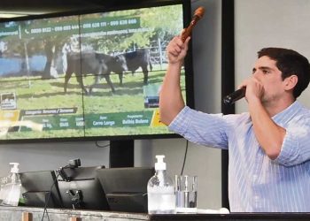 “No somos muy conscientes de las consecuencias que esta situación de lluvias e inundaciones va a generar”
