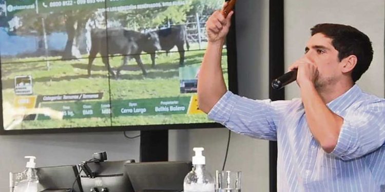 “No somos muy conscientes de las consecuencias que esta situación de lluvias e inundaciones va a generar”