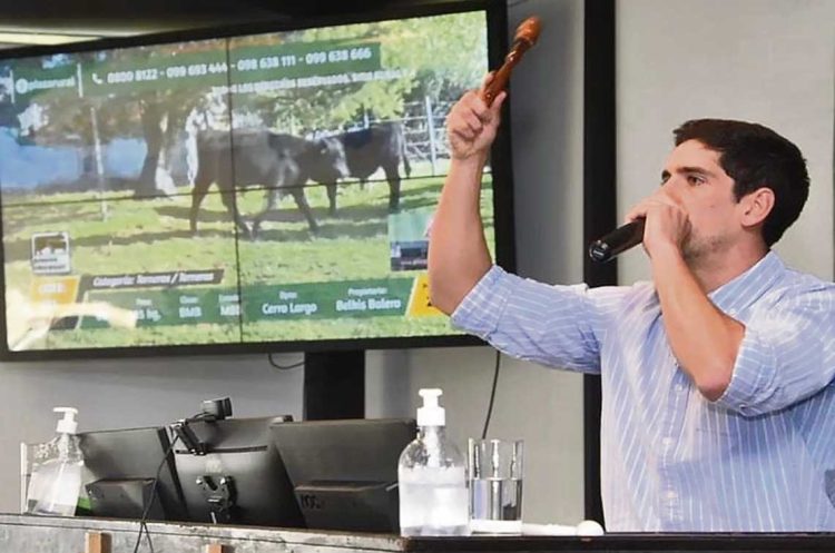 “No somos muy conscientes de las consecuencias que esta situación de lluvias e inundaciones va a generar”