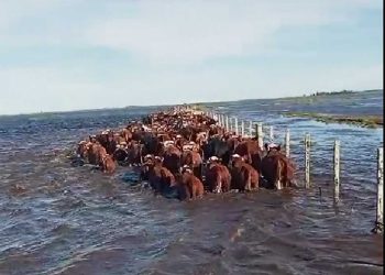 Sociedad Fomento de Treinta y Tres planteó al MGAP la emergencia, el ministro ya firmó la declaración