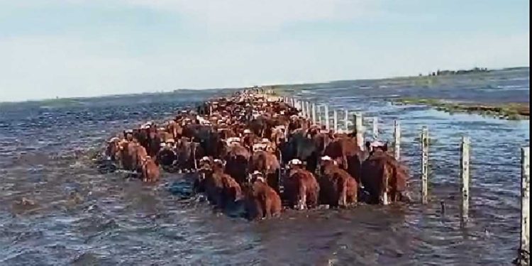 Sociedad Fomento de Treinta y Tres planteó al MGAP la emergencia, el ministro ya firmó la declaración