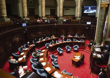 Con los votos de la Coalición el Senado aprobó la Ley de Medios