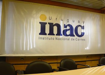 La FR objetó el sistema de tipificación de reses, pero la Junta de INAC no la acompañó