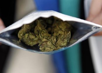 Crecen consultas psiquiátricas por aumento en la concentración de THC en la marihuana