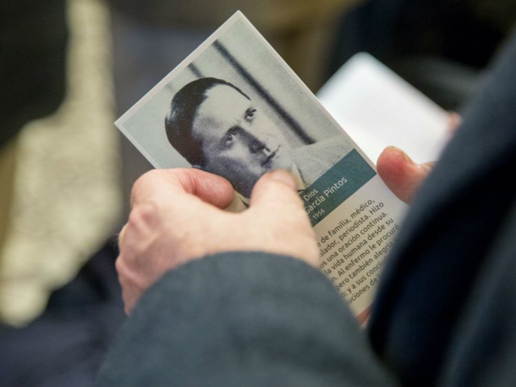 Consejo de Economía Nacional, proyecto de ley de 1955