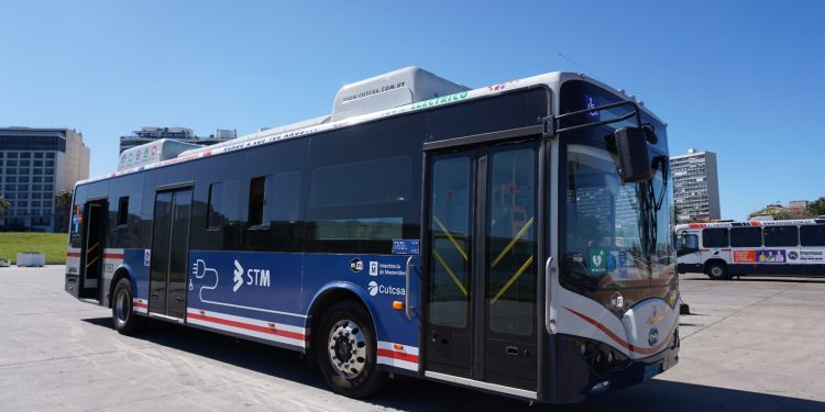 Cutcsa participa de la jornada “Suelta de libros” en el marco del día del libro