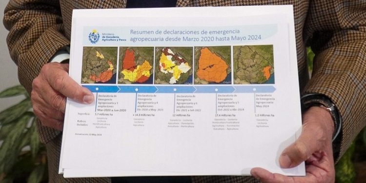Desde 2020 a la fecha, Uruguay ha estado en permanente estado de emergencia agropecuaria