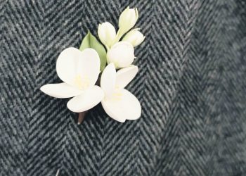 El poeta del jazmín en la solapa