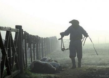 Día del Trabajador rural