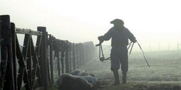 Día del Trabajador rural