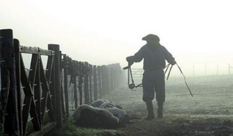 Día del Trabajador rural