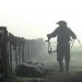 Día del Trabajador rural