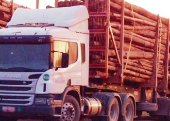“Uruguay debería pensar en una estrategia país para solucionar la caminería rural”