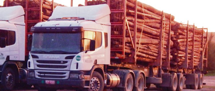 “Uruguay debería pensar en una estrategia país para solucionar la caminería rural”