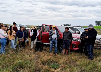 Silvopastoreo: en búsqueda del equilibrio