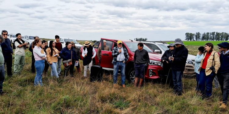 Silvopastoreo: en búsqueda del equilibrio