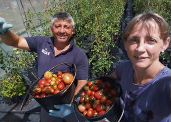 “Producir uno y ayudar a los demás” es una forma de definir la agricultura orgánica