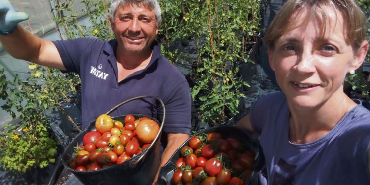 “Producir uno y ayudar a los demás” es una forma de definir la agricultura orgánica