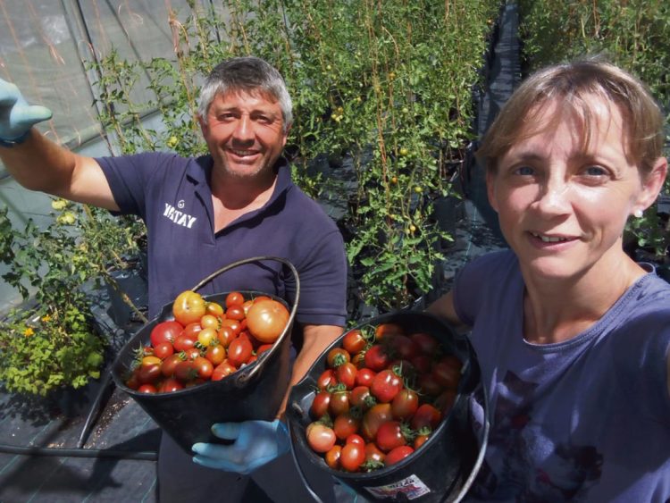 “Producir uno y ayudar a los demás” es una forma de definir la agricultura orgánica