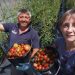“Producir uno y ayudar a los demás” es una forma de definir la agricultura orgánica