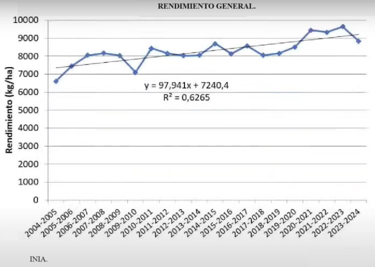 A pesar del clima, el arroz tiene el cuarto mayor rendimiento de los últimos 20 años