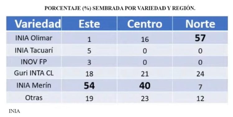 A pesar del clima, el arroz tiene el cuarto mayor rendimiento de los últimos 20 años