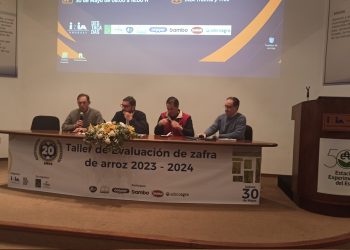 A pesar del clima, el arroz tiene el cuarto mayor rendimiento de los últimos 20 años