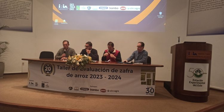 A pesar del clima, el arroz tiene el cuarto mayor rendimiento de los últimos 20 años