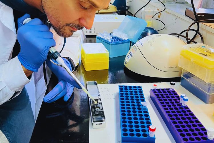 Científicos argentinos lograron secuenciar el genoma de la chicharrita del maíz