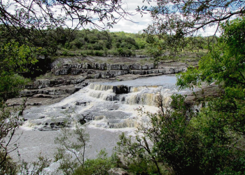 Gestión ambiental del acuífero Raigón