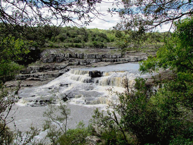 Gestión ambiental del acuífero Raigón