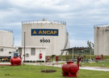 En julio se mantendrá el precio de los combustibles