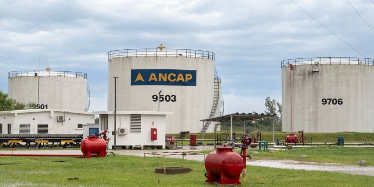 En julio se mantendrá el precio de los combustibles