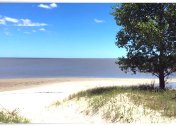 Proyecto Arazatí: “Cualquier riesgo de contaminación, es falso e infundado”