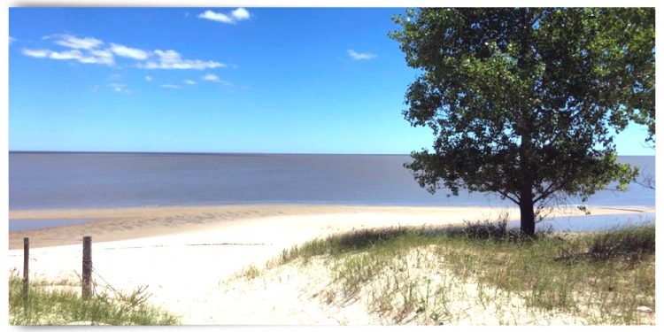 Proyecto Arazatí: “Cualquier riesgo de contaminación, es falso e infundado”