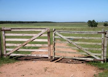 Ruralidad: omisiones a subsanar