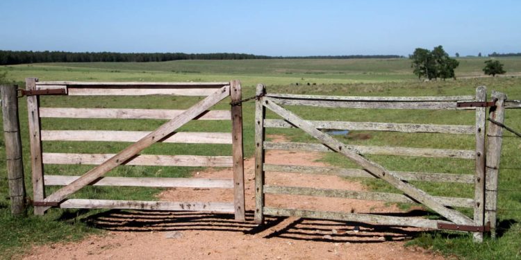 Ruralidad: omisiones a subsanar