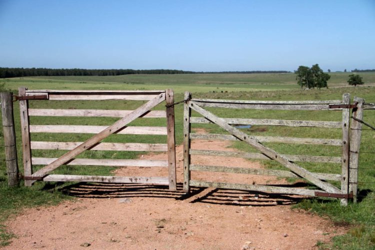 Ruralidad: omisiones a subsanar