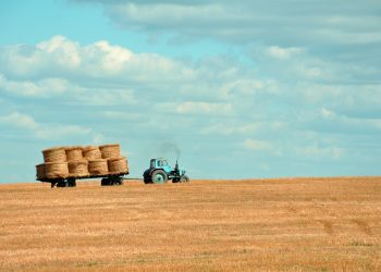 La Federación Rural espera “magros resultados” agropecuarios