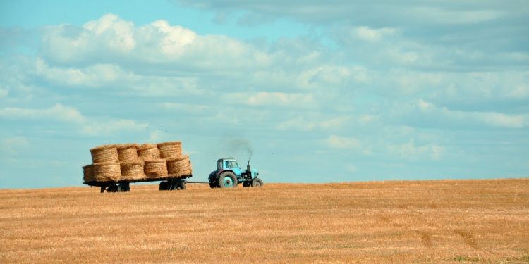 La Federación Rural espera “magros resultados” agropecuarios
