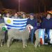 Los corriedales uruguayos se lucieron en el congreso mundial realizado en Perú
