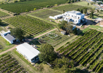 En el peor año agrícola del país, las escuelas agrarias de UTU lograron recaudar más de US$ 1 millón